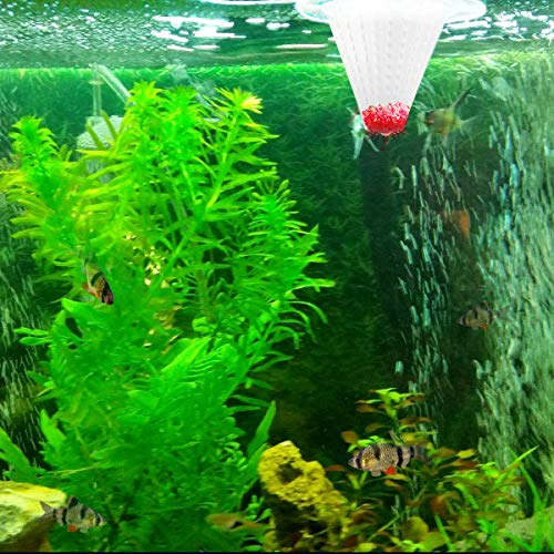 Senzeal 6PCS Aquarium Live Red Worm Cone Feeder Plastic Frozen Brine Shrimp Fish Food Feeding Cup for Fish Tank with Suckers