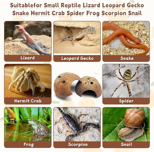 Natural Coconut Reptile Hideouts Lizard, Coco Hut Hermit Crab Hut Aquarium Fish Hide Cave for Small Reptile Crested Gecko Leopard Gecko Spider Snail Climber Toys (6 PCS Natural Surface)