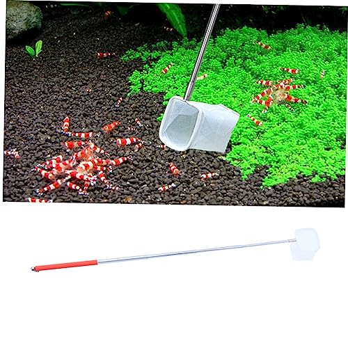COLLBATH Stainless Steel Telescopic Shrimp Net Aquarium Fish Skimmer Net Collapsible Strong Easy Access