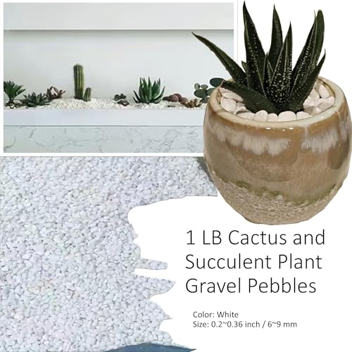 1LB Natural Gravel Pebbles, Cactus and Succulent Plants Pebbles, Small Decorative Polished Stones, White River Rocks for Potted Plants, Vases, Aquariums, Terrarium and Outdoor Gardening - color: 1LB White