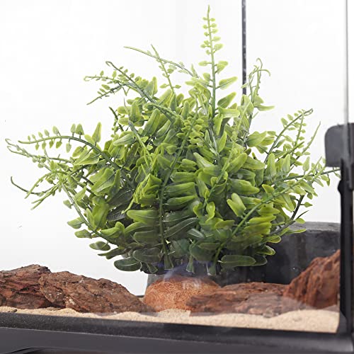 Fake Green Boston Fern, Reptile Plants for Terrarium, Amphibian Tank Accessories Habitat Decor fit Crested Gecko Leopard Lizard Chameleon Ball Python Snake Frog - color: I-fake Green Boston Fern