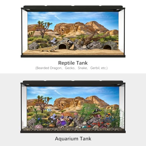 Polyester 5x3ft Joshua Tree National Park Backdrop Arid Barren Cactus Sandstone Rock Climate Mountain and Desert Scenery Backdrop Desert Terrarium Background - size: 5x3ft
