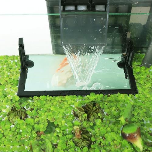 Aquarium Floating Plant Barrier, Fish Feeding Ring Intercepts Floating Plants from Filters and Heaters,Applicable to Duckweed Live Plant for Aquarium