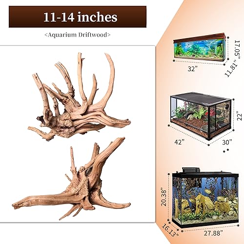 majoywoo Natural Large Driftwood for Aquarium Decor Reptile Decor, Assorted Spider Wood Branch 11-14" 2 Pcs, Fish Tank Decoration - size: Spiderwood 11 to 14 Inch(Pack of 2)