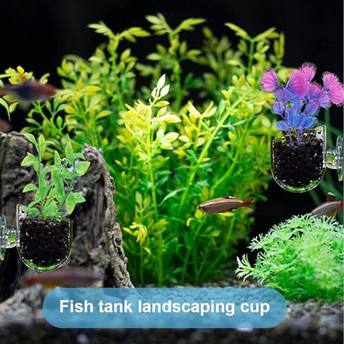 KABASI 3 Pack Aquarium Plant Holder Pot, Red Worm Fish Shrimp Feeder, Clear Acrylic Aquatic Plant Cup with Suction Cups for Home Fish Tank Aquascape Decor