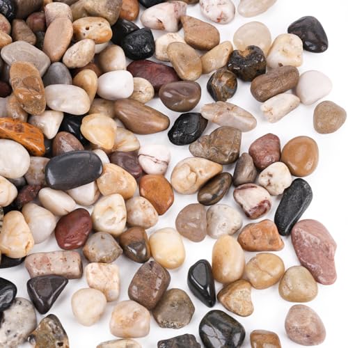 DomeStar River Rocks, Fish Tank Gravel, Pebbles for Plants Decorative Stones for Potted, Vase Filler, Home Decor, Fish Tank, Garden Landscaping, Flower Beds (1 Pound)