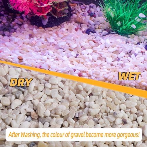 2.4lb Aquarium Gravel for Plants, 1/5Inch Outdoor Decorative River Rocks for Succulents and Cactus Landscaping, Garden Plant Rocks Natural Small Rocks Pea Gravel for Fish Tank Vases Terrarium