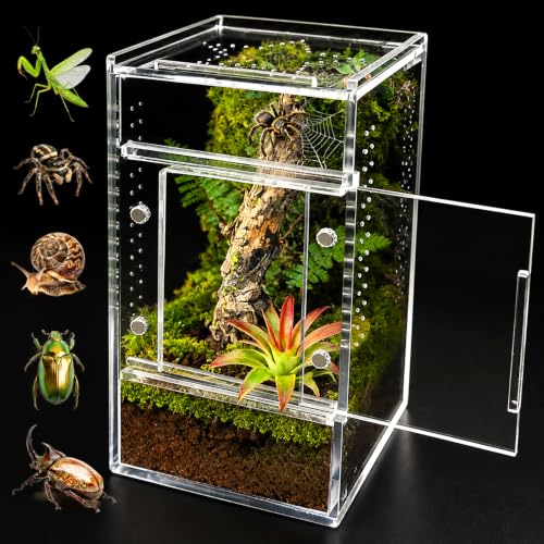 Jumping Spider Enclosure, Small Acrylic Terrarium, Magnetic Front & Top Opening, Bug Habitat for Jumping Spiders, Tarantulas, Praying Mantis, Snails (3.14" x 3.14" x 5.9") - size: Basic Vertical-Mini