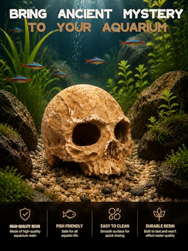 Aquarium Decor - Small Skull Hiding Cave for Fish Tank, Aquarium Hideout Ornament with Skull Texture for Betta, Guppy, Shrimp, Spider - Aquatic Hide Decoration, Fish Hiding House（White） - color: Hollow Skull Décor - White