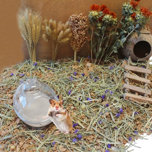 Hamster Bath Sand, 3lb Dust Free Desert Sand or Potty Litter Sand for Hamster Chinchillas Gerbil Syrian Mice Small Animals(Beige) - color: Beige, size: 3lb
