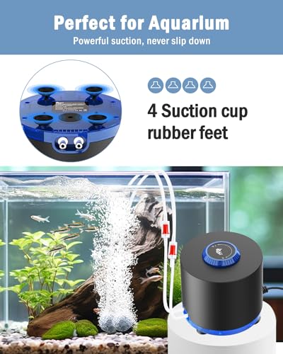 AQQA Aquarium Air Pump, Quiet Powerful Fish Tank Air Pump 3W/6W/10W with Stainless Steel Dual Outlet, Adjustable Oxygen Aerator Pump with Air Stone Bubbler for Fish Tank Up to 200 Gallon 10W (Tubby) - style: 10W(Tank Up to 200 Gallon Aquariums)