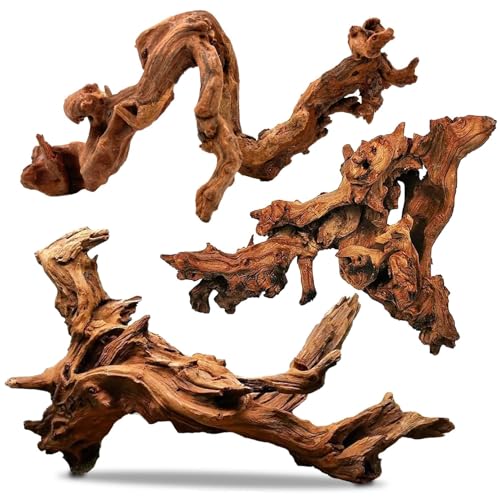 PINVNBY Natural Driftwood for Aquarium Decor Fish Tank Decorations Reptile Decor Driftwood Decor, 3 Pieces 7"-11" Assorted Driftwood Branch - size: L: Mopani Driftwood (7-13 inches/3 Pack）