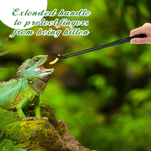 Lasnten 2 Pcs Extra Long Stainless Steel Reptile Feeding Tongs with Rubber Tip 15 Inch Bearded Dragon Aquarium Straight and Curved Long Tweezer Terrarium Feeder Tool for Tank(Black) - color: Black, size: 15 Inch
