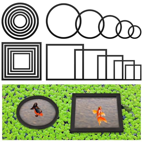 20 Pcs Aquarium Floating Plant Rings Round Square Fish Feeding Rings Different Size Corral Foam Circle for Tank Keep Floating Plants in Place and Out of Filter, 5 Sizes(Black)