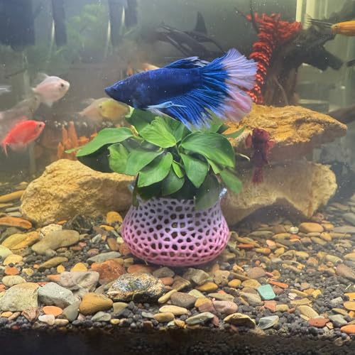 HOZOE Aquarium Submerged Plant Pot, Underwater Plant Anchor, Fish Tank Aquatic Plante, Aquarium Landscaping Decoration, Decorative Accessories - 2-Piece Set (Color) - color: Mixing Colors