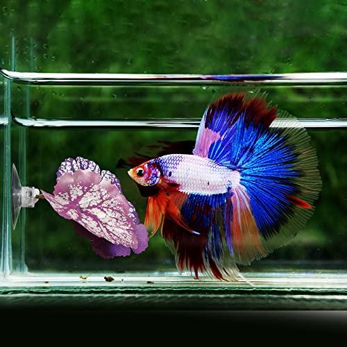 iplusmile Aquarium Leaf Hammock with Suction Cup Fish Tank Decoration Realistic Simulated Aquatic Plant Resting Spot for Betta Fish Stress Relief