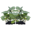 Silk Aquarium Plants, Artificial Fake Aquarium Plants Small Betta Fish Tank Plants Plastic Realistic Decorations Set 2PCS (Style E) - size: Style E