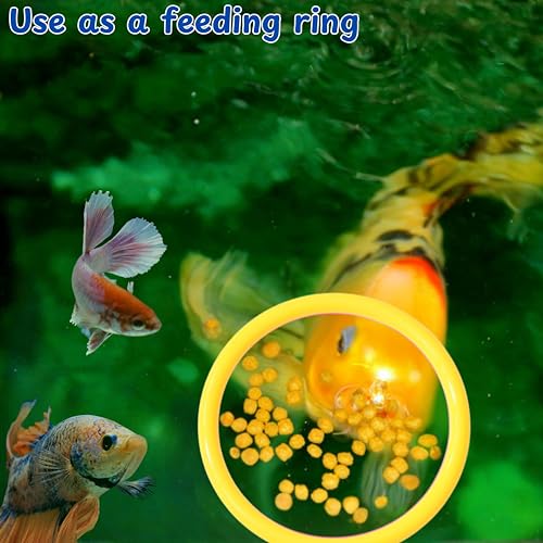 Betta Fish Enrichment Toys Ring and Filter Balls set, Fishes Ring Enrichment Toy and Tank Cleaner Ball, Aquarium Feeding Rings with Nitrifying Balls, Betta Fish Tank Accessories (Yellow, 6.4cm) - color: Yellow