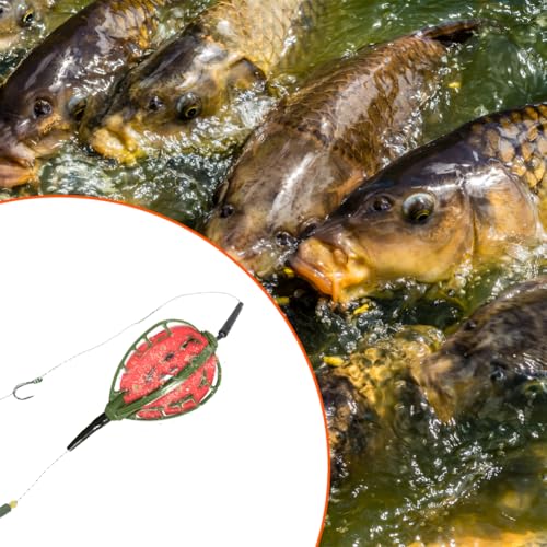 Carp Fishing Bait Cage Feeder with Wire Hook Rigs, Sturdy European Style Long Line Nesting Trap Device Inline Method Inserted Weight Quick Sinking Durable Angler Lure Equipment Tackle 2PCS - size: 48G
