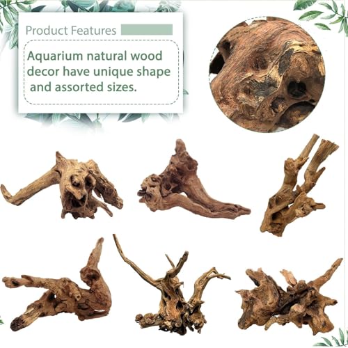 Tfwadmx Aquarium Natural Driftwood Decor Wood Branches, 2 Pieces 8.5-12" Fish Tank Driftwood Decoration, Terrarium Mopani Wood for Aquarium Freshwater Reptile Tank - size: Large: 8-12"(2Pcs)