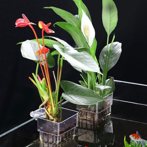 Aquarium Plant Holders, Transparent Fish Tank Pots Hanging Planter Basket Aquatic Cup for Fish Tank Hydroponic