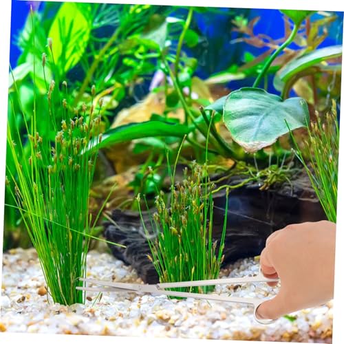 BESPORTBLE 5 Sets Stainless Steel Fish Tank Cleaning Kit Complete Aquascaping Tools Set Includes Tweezers Grass Trimmer Scissor for Glass Aquariums