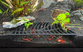 LifeWithPets Shrimp Breeding Hide | Shrimp Cave | Shrimp Hide | Tunnel | Black - size: Halfmoon Hide