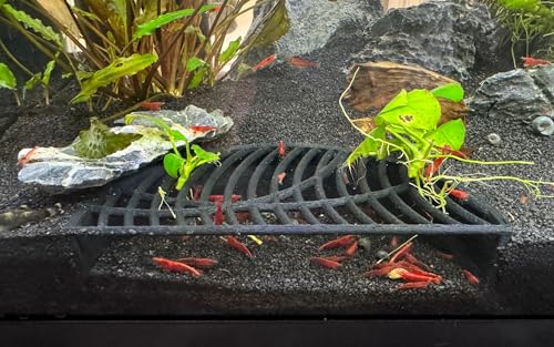 LifeWithPets Shrimp Breeding Hide | Shrimp Cave | Shrimp Hide | Tunnel | Black - size: Halfmoon Hide