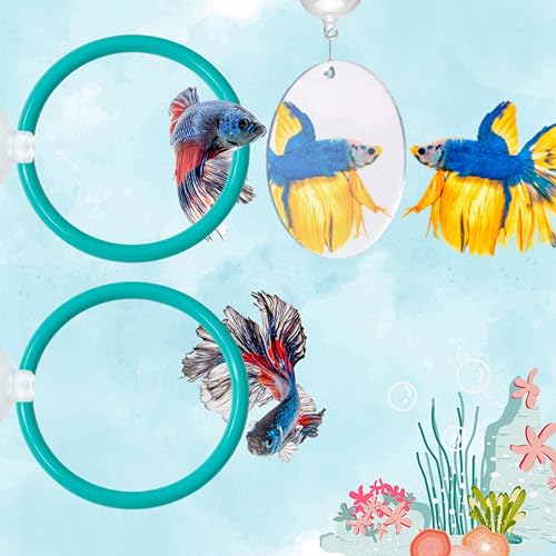 2 pcs Betta Ring Enrichment Toys with 1 pcs Betta Mirror, Exercise Training Ring and Floating Mirror for Fish Tank, Aquarium Feeding Rings with Floating Mirrors, Fish Toys, Bettas Toy (Teal, M-70mm) - color: Teal, size: M-70mm