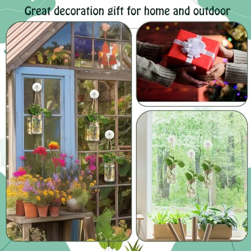 9 Sets Window Hanging Propagation Stations 3.54'' Plastic Propagation Vases with Suction Cup & Traceless Nail, Propagated Plant Holder Wall Jars for Office Home Garden Decoration Lover Gift