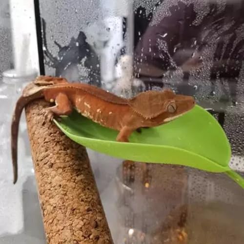 4 Pack Reptile Resting Leaves, Artificial Betta Hammock Leaves with Suction Cups, Simulation Plant Leaf for Tree Frogs, Geckos, Hermit Crabs & Aquarium Fish Tank Decor
