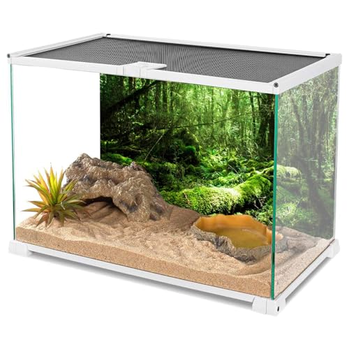 AWERT 48x24 inches Tropical Terrarium Background Rainforest Aquarium Background Green Tree Reptile Habitat Background Vinyl - size: 48x24in/120x60cm