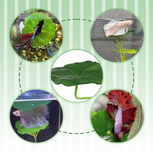 3PCS Betta Fish Leaf Hammock, Soft Aquarium Decor Plastic Plants, Betta Hammock Bed with Suction Cups, Fish Tank Decoration for Sleeping Hiding Playing – Natural Green Lotus Leaf Design