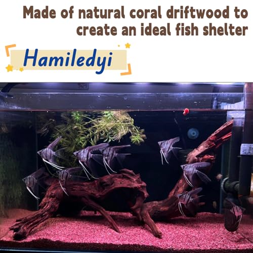 Hamiledyi Aquarium Driftwood, Natural Large 7-15in Coral Driftwood for Aquarium Decor Reptile Tank Decor Terrarium Ornament Wood Branch Trunk Stump for Fish Betta Lizard - size: XL:Mopani Driftwood (7-15in 1PCS)