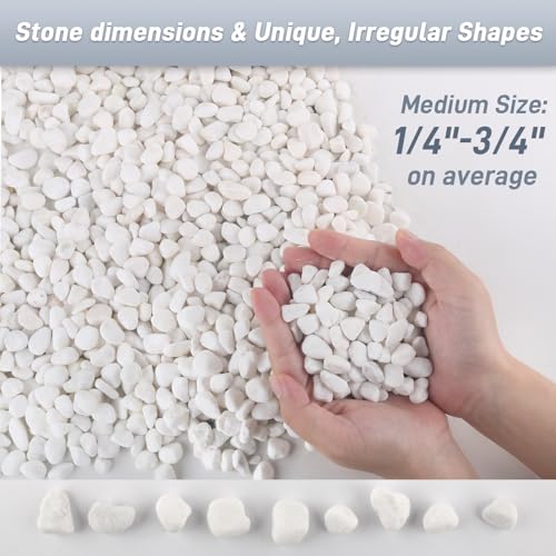 Mulctun 6Lb White Rocks for Plants, 1/4"-3/4" White Pebbles, Decorative Stones for Vases, Small Aquarium Gravel for Fish Tank Garden Rocks for Potted Plants & Home Decor - size: 6 LB