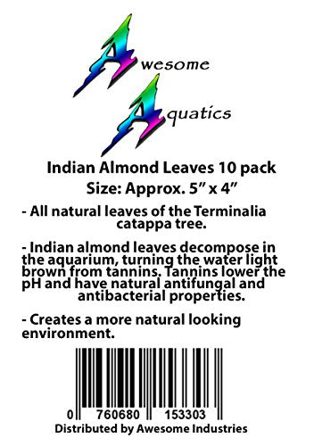 Awesome Aquatic Betta Shrimp Leaves 10 4"-6" Premium Catappa Indian Almond Leaves Aquarium Fish Shrimp Betta Tanks Blackwater Habitat Health Color Natural Habitat Tannin Improves Immunity
