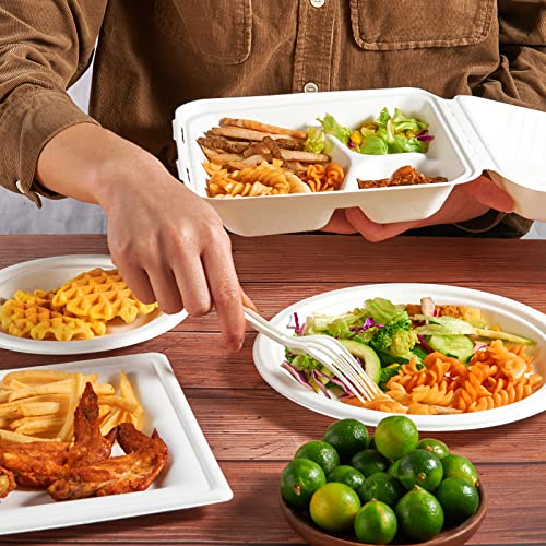 ECOLipak 50 Pack Clamshell Take Out Food Containers, 100% Compostable Disposable To Go Containers, 8X8 inch 3-Compartment Heavy-Duty To Go Boxes - color: 8*8 in, 3-Compartment,50Pack