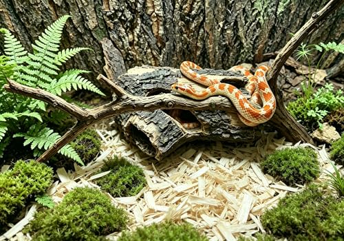 Beard Dragon,Lizard and Reptile Hide,Fish Tank Accessories Hides,Aquarium Decor for Betta Fish,Shrimp,Hermit Crabs,Spiders,Mice,Leopard Geckos,Toads and Frogs (Brown, m)