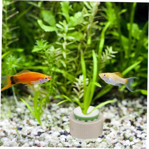 9pcs Floating Rings for Easy Planting Freshwater Tanks Durable User Friendly Decoration Accessories for Fish Tank Landscape
