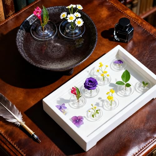 10Pcs Clear hydroponic plants Floating Floral Holder Simple Creative Flower Bowl Stem Holder Plant Display Home Decoration (Large,7*2.6cm) - color: Large,7*2.6cm