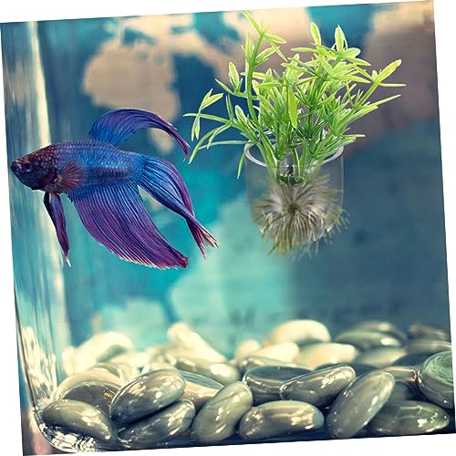 BESPORTBLE 8pcs Acrylic Aquarium Plant Holder Cups for Fish Tank Multi-use Feeding Tool and Planting Holder and Easy to Install for Aquatic Plants and Decoration