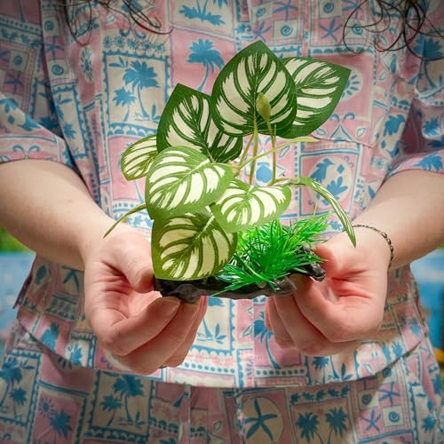 CTWPets Betta Driftwood Decor – Soft Silk Aquarium Plant for Betta Fish, Shrimp, and Tropical Tanks – Safe, Vibrant Aquascape Decoration (Split Leaf) - color: Split Leaf