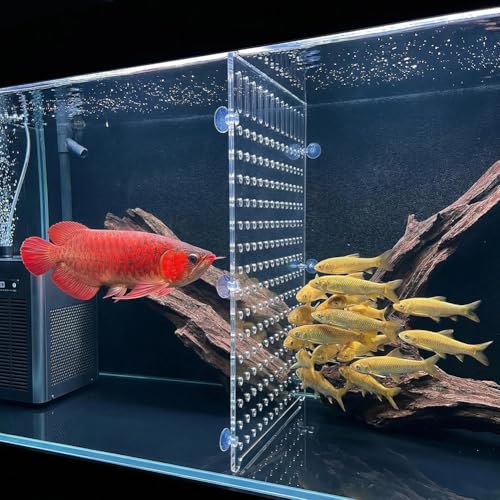 Rygcrud Aquarium Divider – 5mm Thick Transparent Acrylic Panel with Suction Cups, Fish Tank Isolation Board Partition for Divide Space(30x50cm) - size: 30x50cm