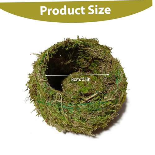 Kokedama Creative Moss Ball Planter 8cm Bowl Planter for Orchids, Bonsai & Air Plants Decorative Indoor Home Garden Decor