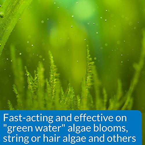 API ALGAEFIX Algae Control 4-Ounce Bottle, Multi-colored - size: 4-Ounce