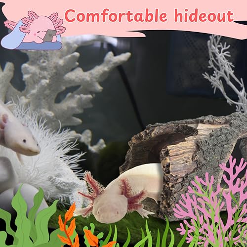 1pcs Axolotl Hides for Aquarium with 2pcs Nitrifying Ball Set, Driftwood Axolotl Cave Hideout and Aquarium Filter Balls, Fish Tank Decor, Shelter for Small Pet Frog Fish Betta (Resin Driftwood, M) - color: Resin Driftwood, size: M