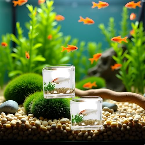 2Pcs White Goldfish Charm of A Mini Tank with This 1:12 Scale Miniature Accessory Square Fish Tank Realistic Glass Decor for Dollhouse Display Captivating Miniature for Crafts Ornaments Handmade