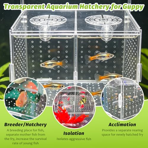 Hamiledyi Acrylic Breeding Isolation Box - Transparent Aquarium Hatchery for Guppy/Shrimp/Small Fish, Safe Nursery Tank with Air Tube & Suction Cups(7.8" × 3.9" × 3.9") - size: M(7.8" 3.9" 3.9")