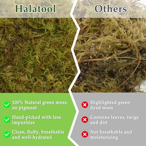 Halatool 5OZ Natural Sphagnum Moss for Reptiles- 8QT Green Moss for Terrarium Plants Long Fiber Reptile Moss for Leopard Gecko Snake Hamsters Tortoises Frogs Lizards Salamanders - size: 5OZ