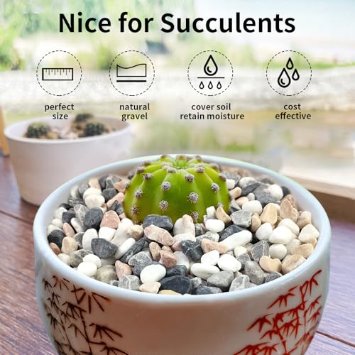 FANTIAN 2 lbs Succulent and Cactus Pebbles Gravel, 3/8 Inch Mixed Color Decorative River Rocks for Plants Indoor, Vases, Terrarium, Potted Top Dressing and Outdoor Decorative Stones - color: Mixed Color Gravel